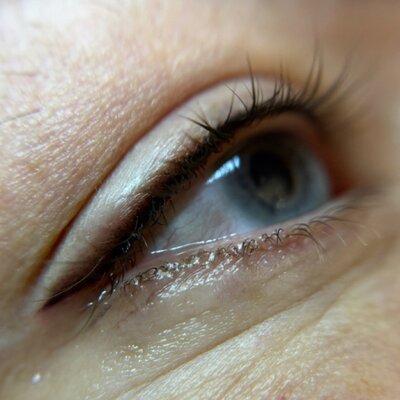 Petite winged eyeliner with light shading by Fawn Harper — client work from the studio portfolio.